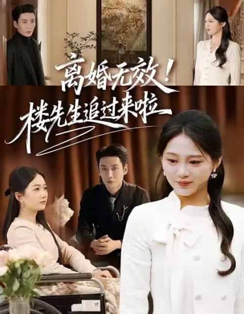 离婚无效！楼先生追过来啦（80集全）刘博洋＆崔秀子-紫橙资源网