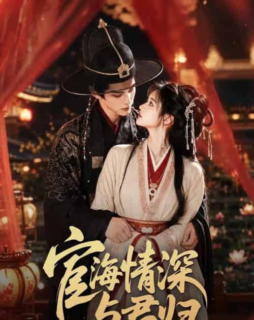 宦海情深与君归（60集全）AI-紫橙资源网
