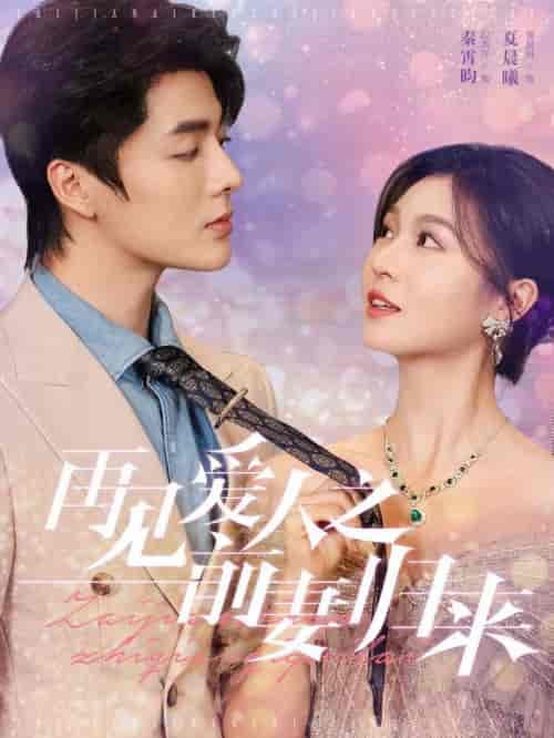 再见爱人之前妻归来(75集全)段美洋&郑晨雨-紫橙资源网