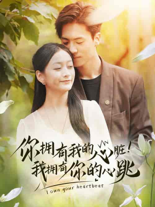 你拥有我的心脏！我拥有你的心跳（78集全）-紫橙资源网