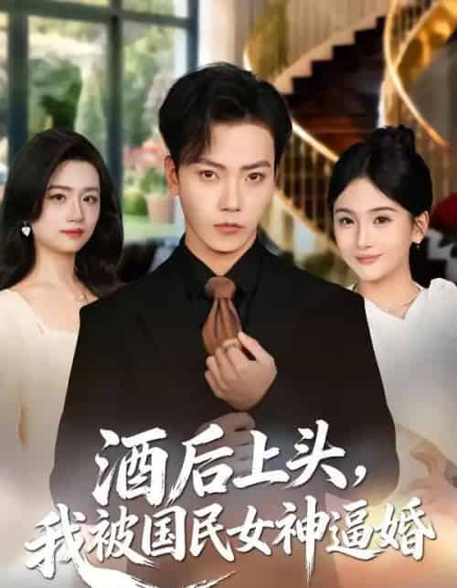 酒后上头，我被国民女神逼婚（80集全）李文轩＆李怡璇-紫橙资源网