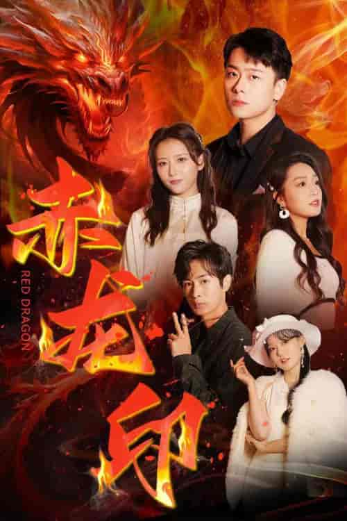 赤龙印（80集）-紫橙资源网