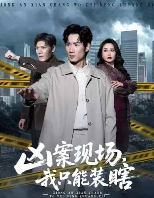 凶案现场，我只能装瞎（72集全）何俊雄＆张明雪-紫橙资源网