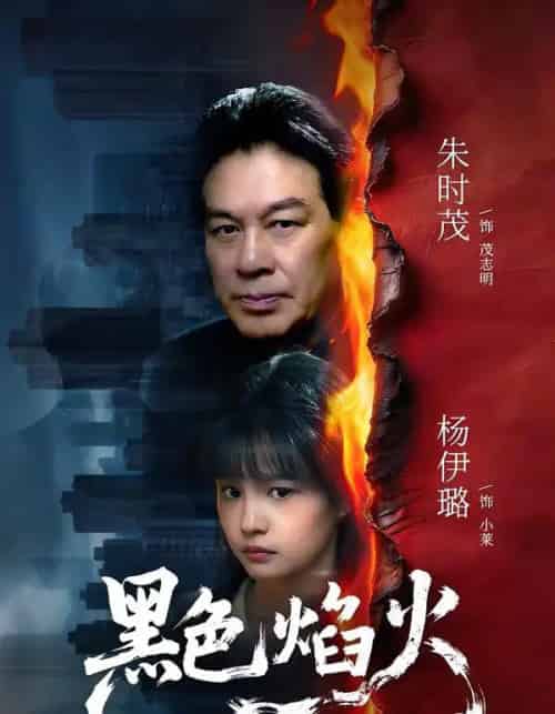 黑色焰火（41集全）朱时茂＆杨伊璐-紫橙资源网
