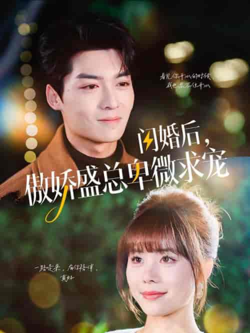 闪婚后傲娇盛总卑微求宠（100集全）方正男＆温叙-紫橙资源网