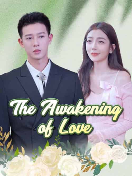The Awakening of Love（95集全）Vienna＆Lambert＆＆Grey＆Beaumont-紫橙资源网