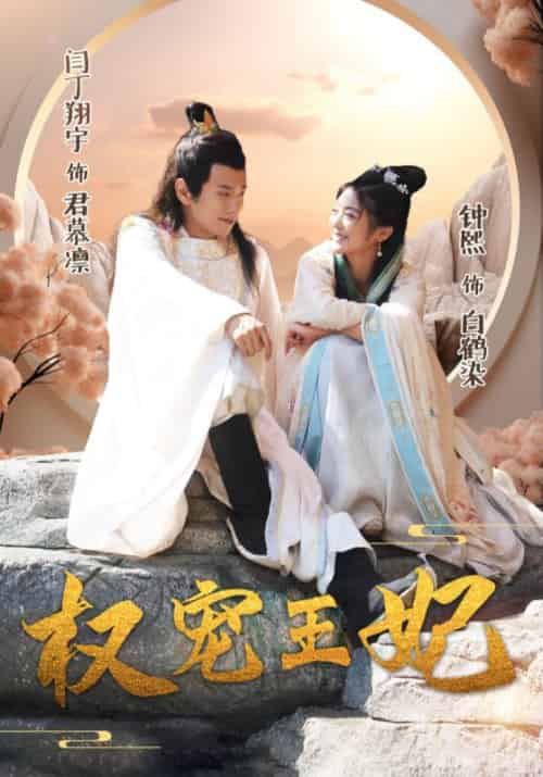 权宠王妃（96集全）君慕凛＆白鹤染-紫橙资源网