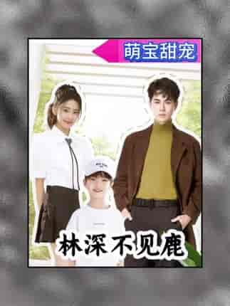 林深不见鹿(长篇)-紫橙资源网