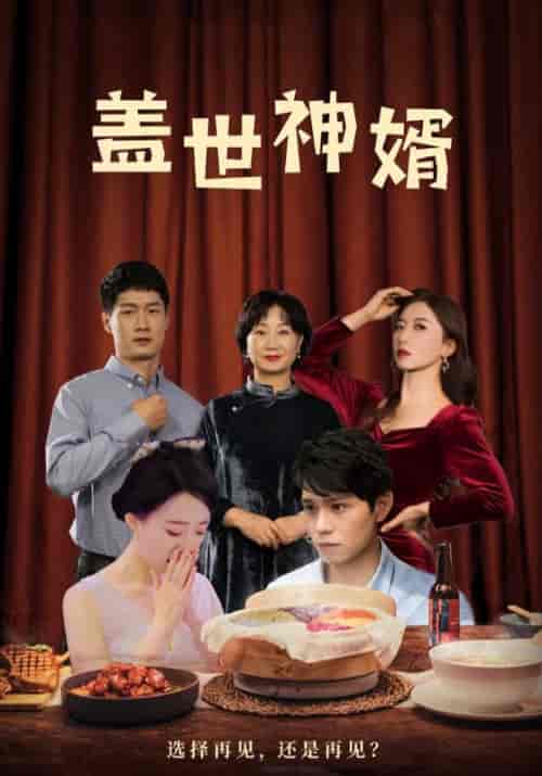 盖世神婿（100集全）林轩＆沈秋雨-紫橙资源网