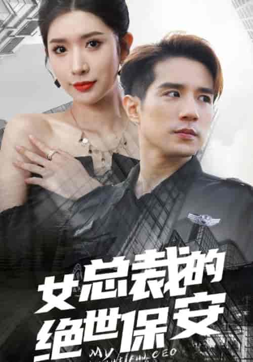 女总裁的绝世保安（96集全）林风＆苏迎夏-紫橙资源网