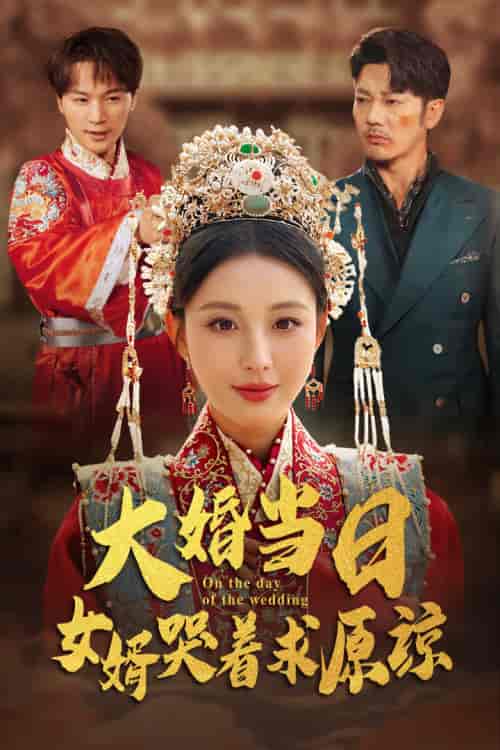 大婚当日,女婿哭着求原谅(31集全)-紫橙资源网