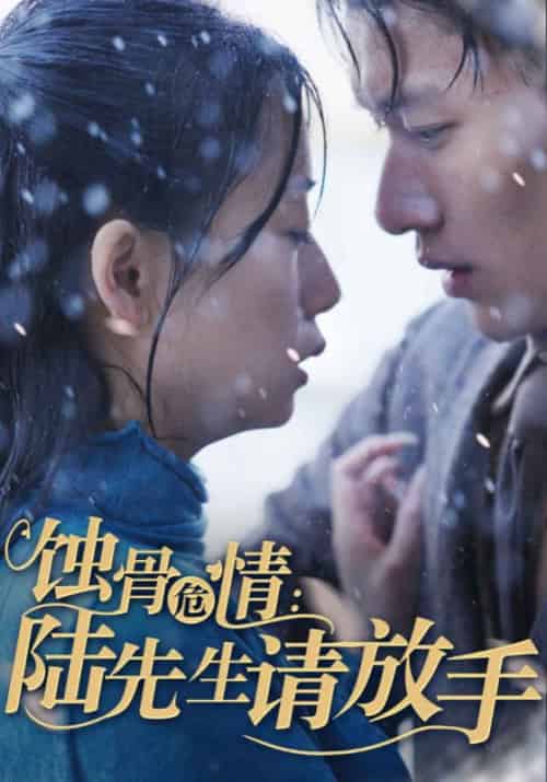 蚀骨危情：陆先生请放手（80集全）陆薄川＆江年-紫橙资源网