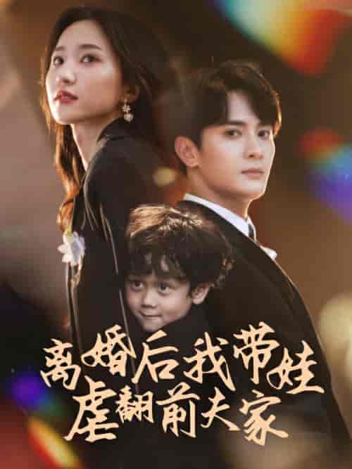 离婚后我带娃虐翻前夫家(75集)赵慧楠-紫橙资源网