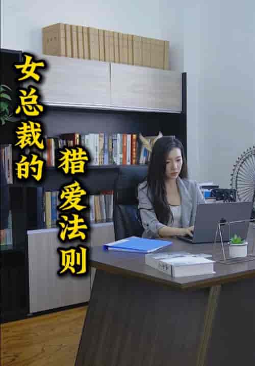 女总裁的猎爱法则（80集全）林白＆顾若-紫橙资源网