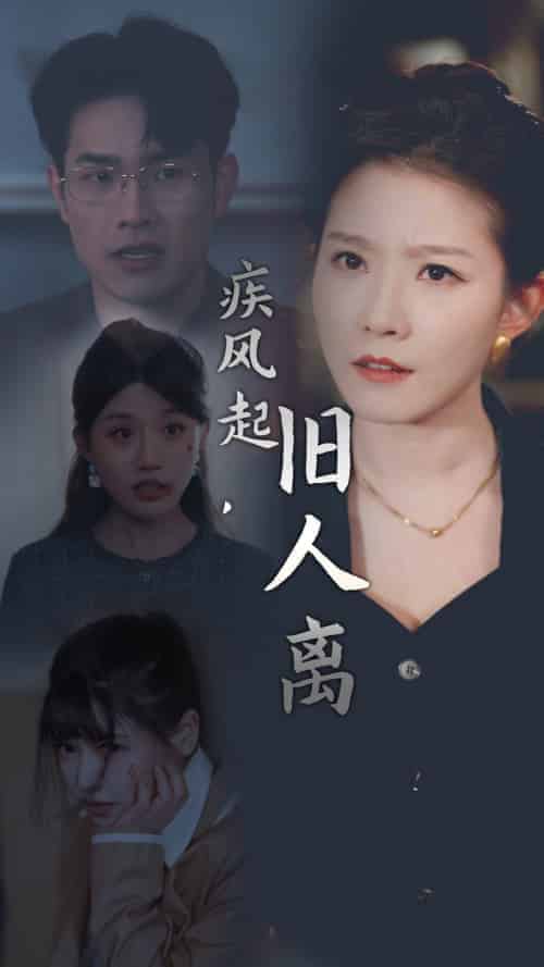 疾风起旧人离（32集全）-紫橙资源网
