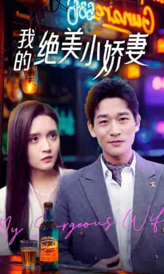 我的绝美小娇妻（80集）-紫橙资源网