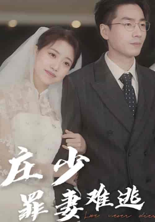庄少罪妻难逃（80集全）庄文疏＆祝今好-紫橙资源网