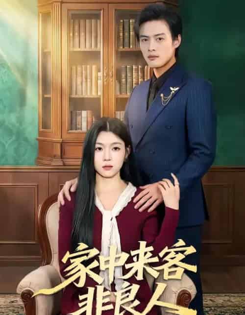 家中来客非良人(79集全)宋权晳&于钊-紫橙资源网