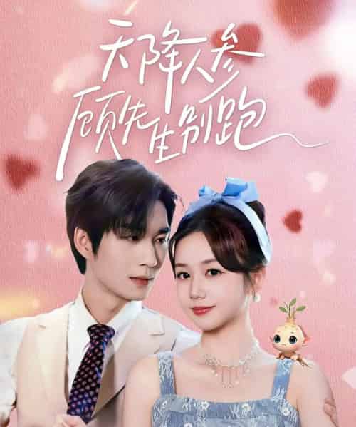 天降人参顾先生别跑(60集全)余弦&雷馥缦-紫橙资源网