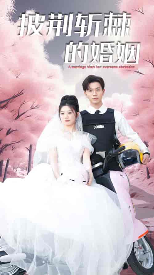 新版：披荆斩棘的婚姻（90集） - 紫橙短剧