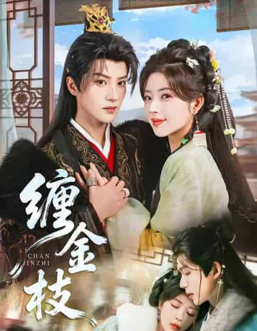 缠金枝(69集全)陈云廷&熊安妮-紫橙资源网