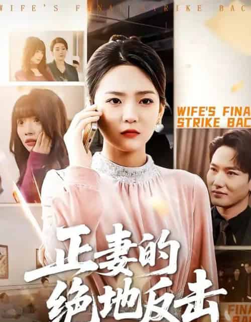 正妻的绝地反击（76集全）张浩天＆高婧琪-紫橙资源网