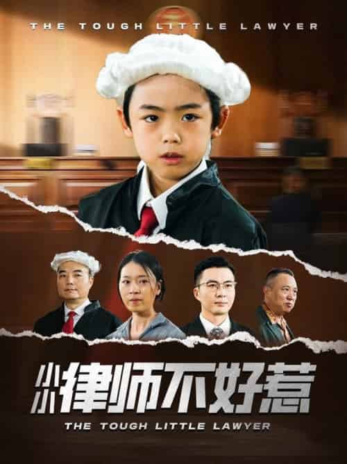 小小律师不好惹（82集全）王晓蒙-紫橙资源网