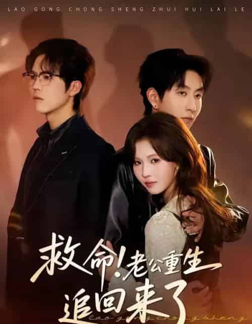 救命!老公重生追回来了(40集全)丁紫嫣&戴睿-紫橙资源网
