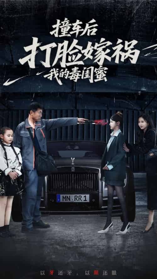 撞车后打脸嫁祸我的毒闺蜜（22集）李梦-紫橙资源网