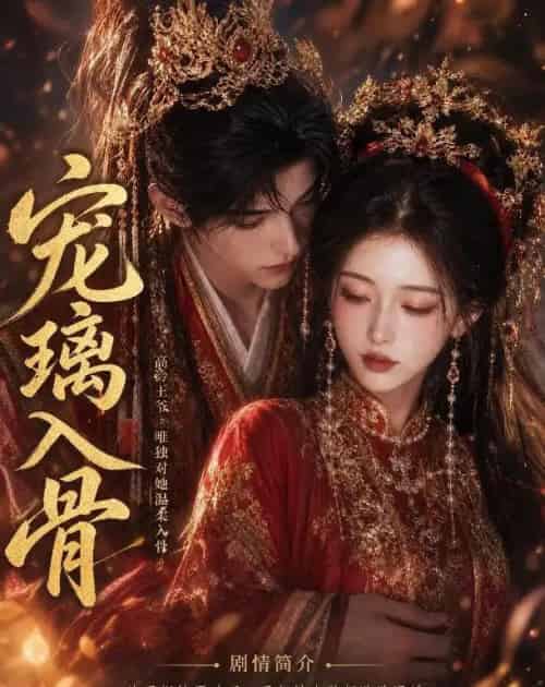 宠璃入骨（15集全）AI-紫橙资源网