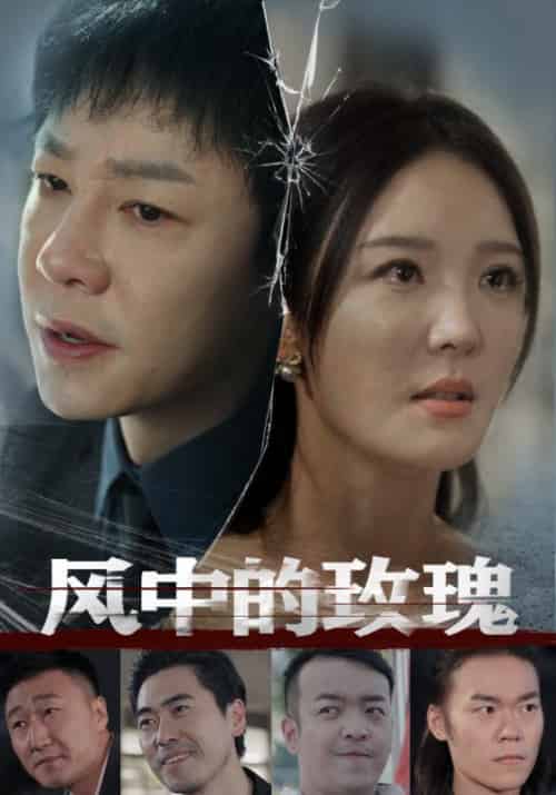 风中的玫瑰（59集全）李明-紫橙资源网