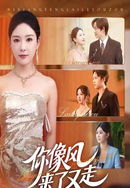 你像风来了又走（59集全）葛玲＆刘松涛-紫橙资源网