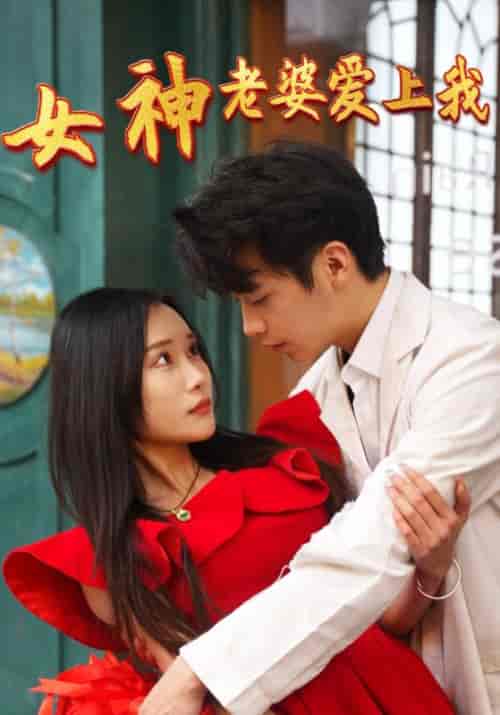 女神老婆爱上我（98集全）萧景炎＆林楚楚-紫橙资源网