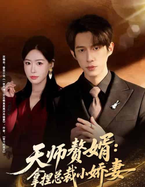 天师赘婿：拿捏总裁小娇妻（80集全）黄振洲＆马祈欣-紫橙资源网