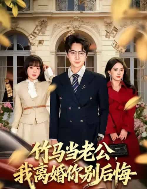 竹马当老公，我离婚你别后悔（63集全）驰恩尘＆刘虹君-紫橙资源网