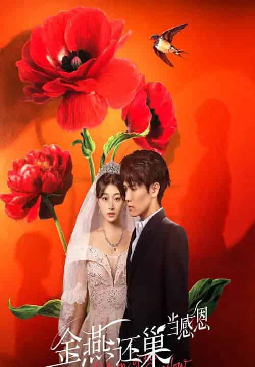 金燕还巢当感恩（55集）晓杨＆刘曙瑞-紫橙资源网