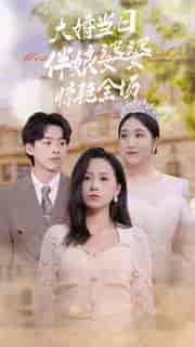 大婚当日伴娘婆婆惊艳全场(30集全)-紫橙资源网