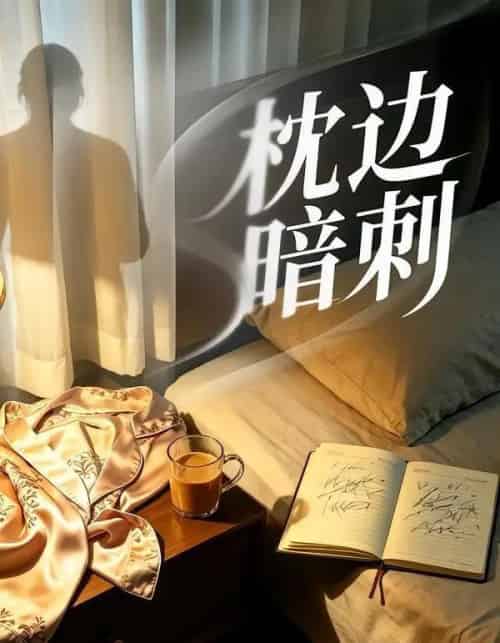 枕边暗刺（44集全）张铭祥＆金善瀛-紫橙资源网