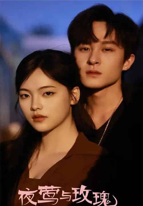 夜莺与玫瑰（60集）聂杨＆江炘-紫橙资源网