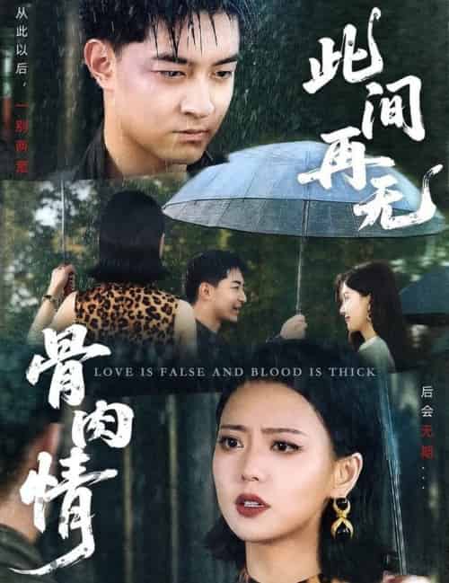 此间再无骨肉情（60集全）贺龙天＆高岫楠-紫橙资源网