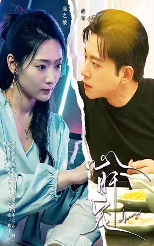 心肝宠（98集）-紫橙资源网