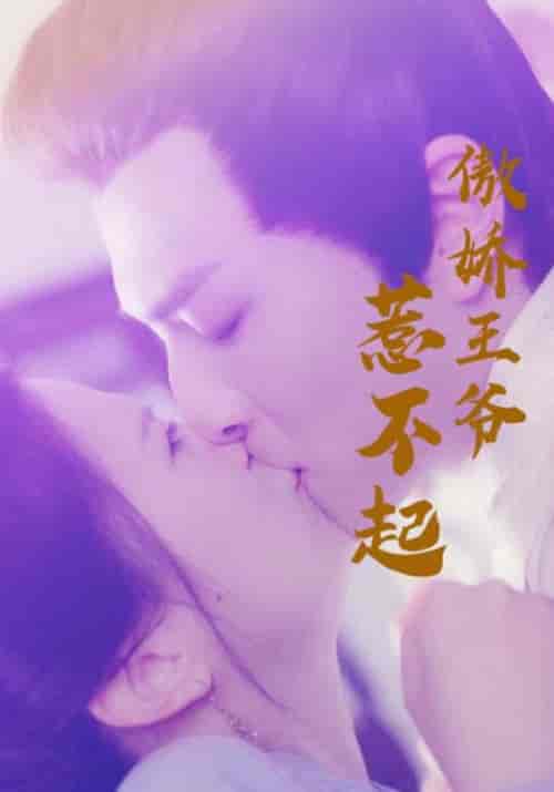 傲娇王爷惹不起（17集）顾彦辰＆陆倾婉-紫橙资源网