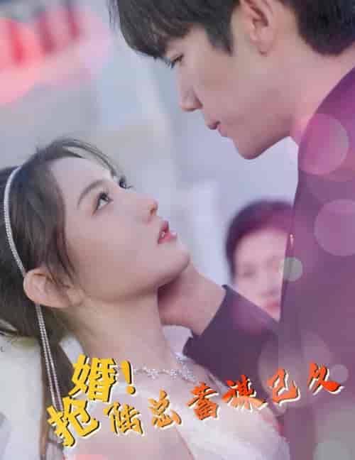 抢婚！陆总蓄谋已久（99集）-紫橙资源网