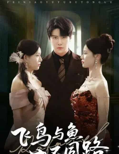 飞鸟与鱼不同路（60集全）祝静怡＆曲曦晨-紫橙资源网