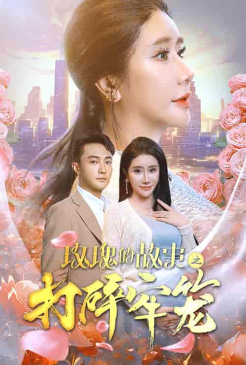 玫瑰的故事之打碎牢笼（58集全）-紫橙资源网