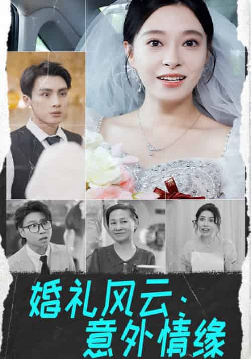 婚礼风云：意外情缘（33集全）万辰＆夏沫-紫橙资源网
