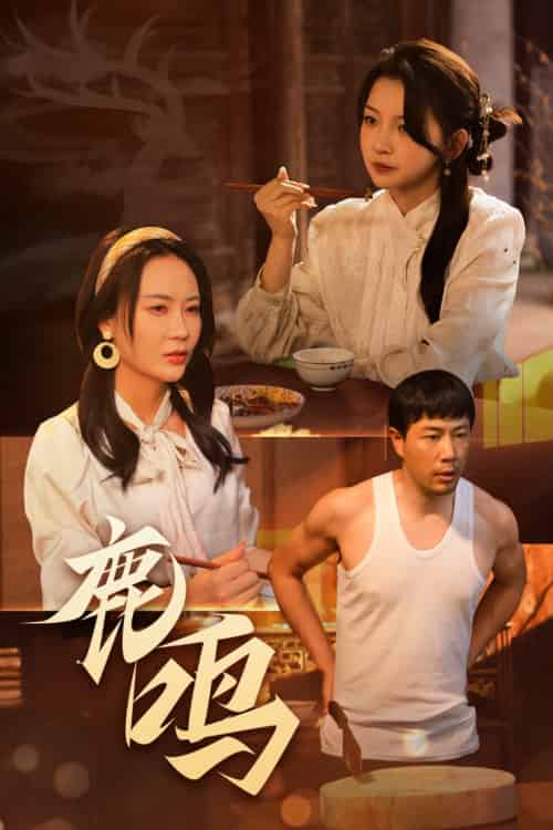 鹿鸣（40集）苗峯＆张婉悦-紫橙资源网