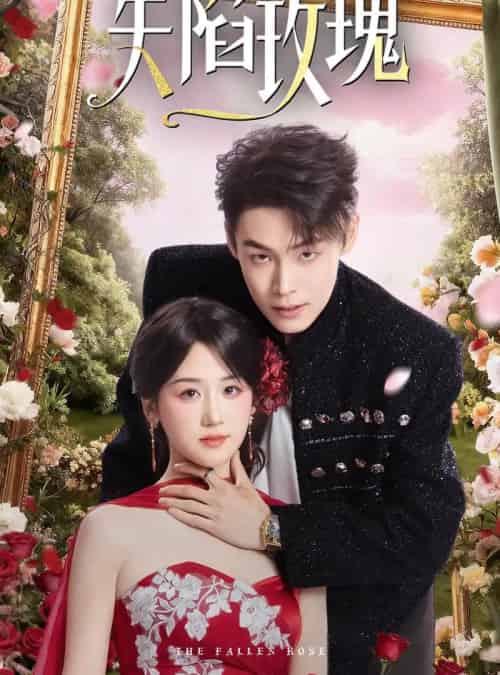 失陷玫瑰(60集全)朱哲人&余紫瑄-紫橙资源网