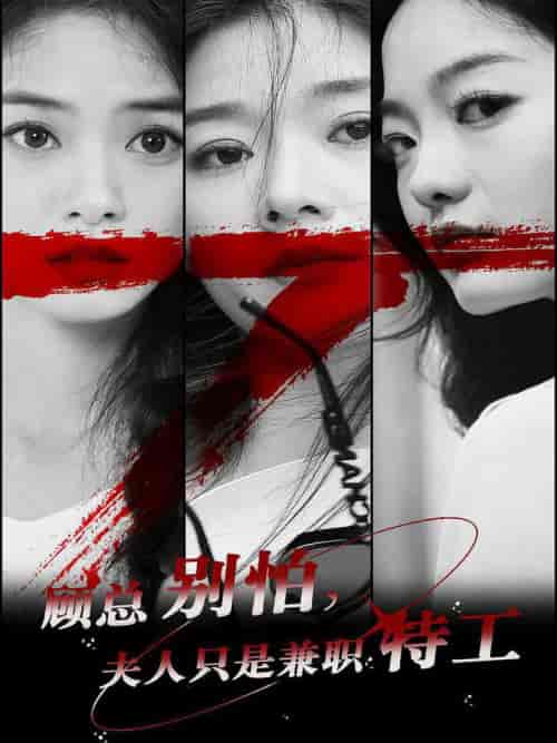 顾总别怕夫人只是兼职特工（80集全）-紫橙资源网