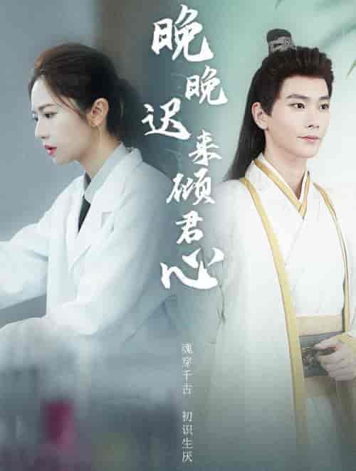 晚晚迟来倾君心(83集全)常斌-紫橙资源网